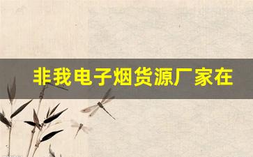非我电子烟货源厂家在竞争中的定位