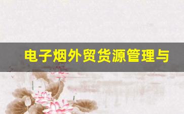 电子烟外贸货源管理与物流优化方案