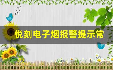 悦刻电子烟报警提示常见问题与应对技巧