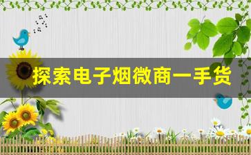 探索电子烟微商一手货源市场的潜力