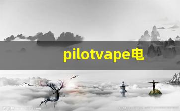 pilotvape电子烟货源供应链管理技巧