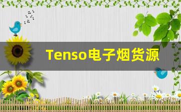 Tenso电子烟货源批发市场分析与建议