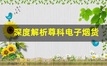 深度解析尊科电子烟货源的质量控制