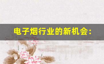 电子烟行业的新机会：货源网助力创业
