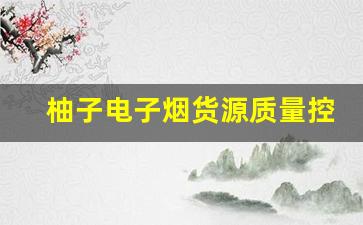 柚子电子烟货源质量控制，确保产品符合标准
