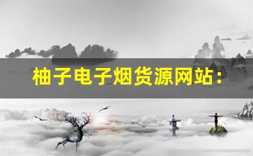 柚子电子烟货源网站：价格、品质与售后服务对比