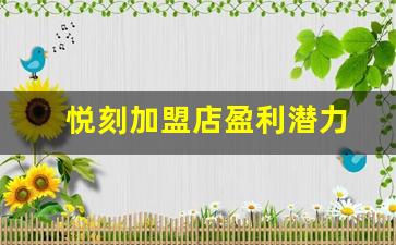 开设悦刻加盟店的盈利潜力有多大？