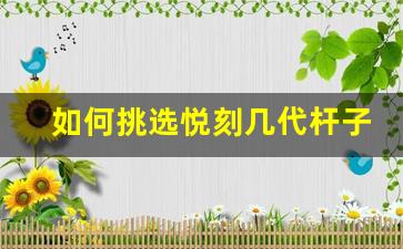 如何挑选悦刻几代杆子，选购技巧与建议