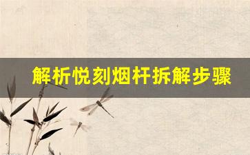 解析悦刻烟杆拆解步骤，让你更了解它